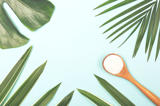 6 Starter Collagen Recipes for Beginners