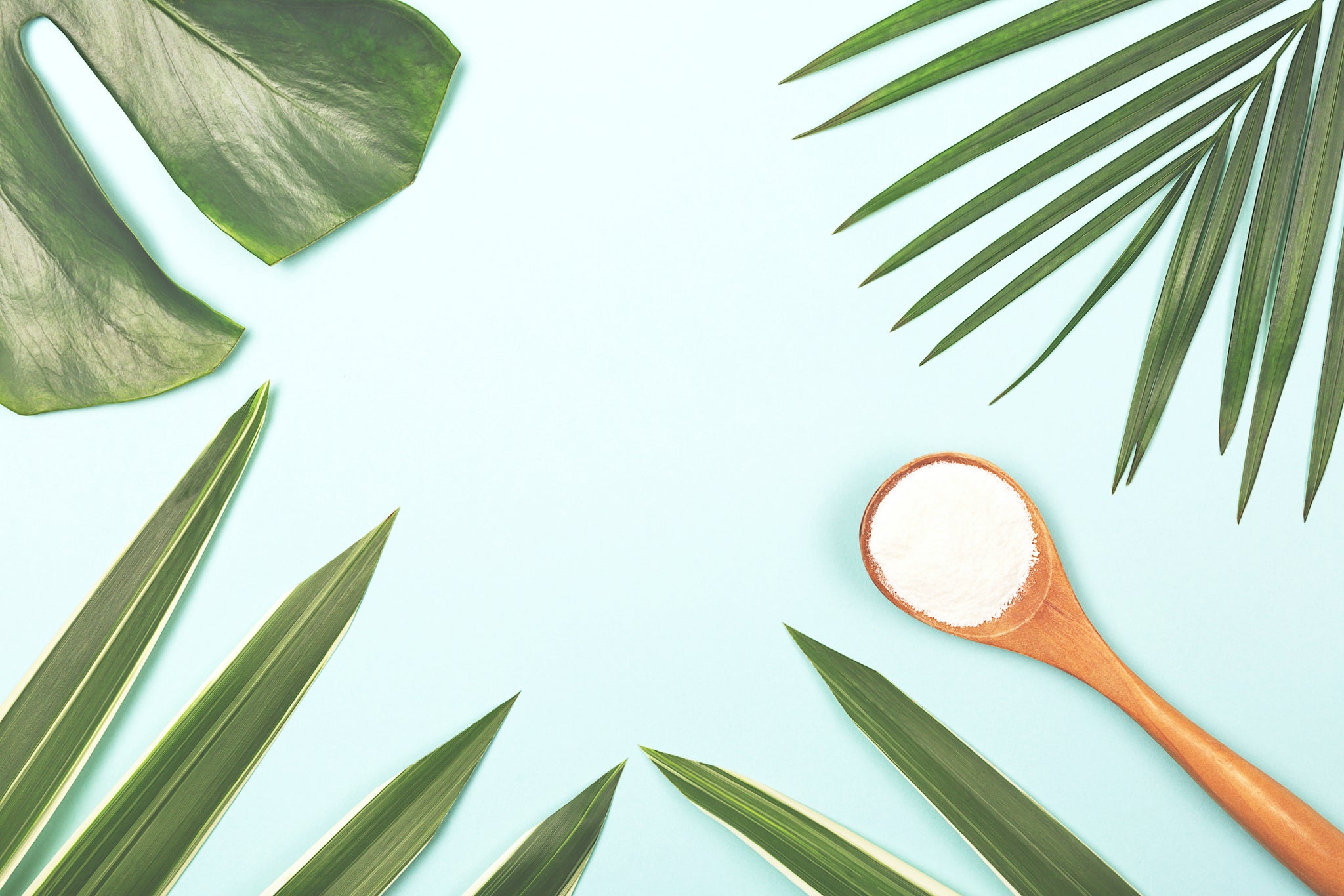 6 Starter Collagen Recipes for Beginners