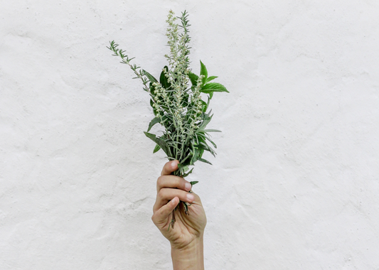 7 Herbs to Add to Your Stress Management Kit
