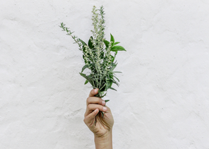 7 Herbs to Add to Your Stress Management Kit