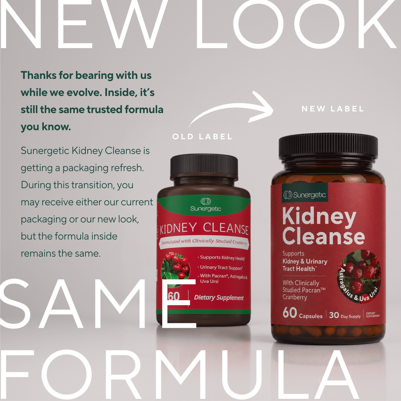Powerful Kidney Support Supplement