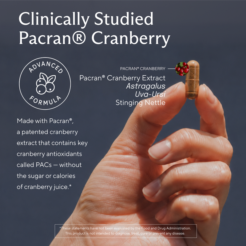 Powerful Kidney Support Supplement