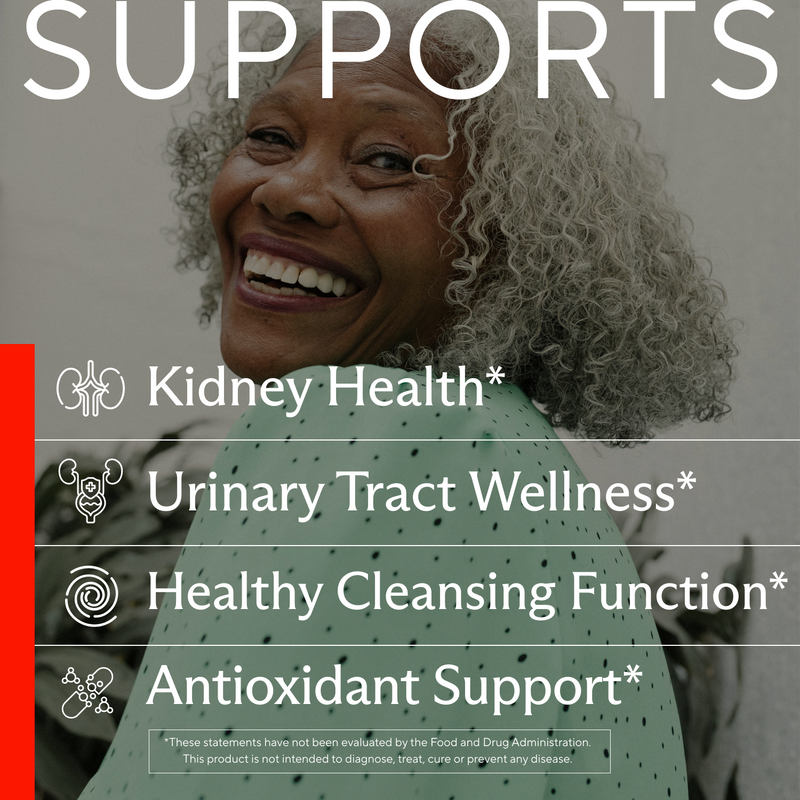Powerful Kidney Support Supplement