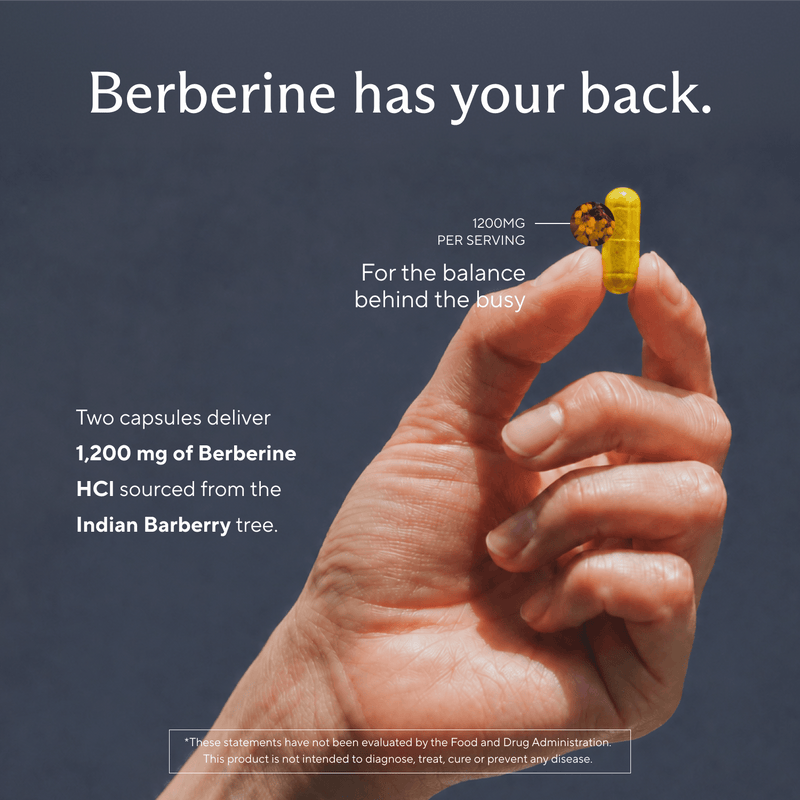 Premium Berberine Supplement - Sunergetic