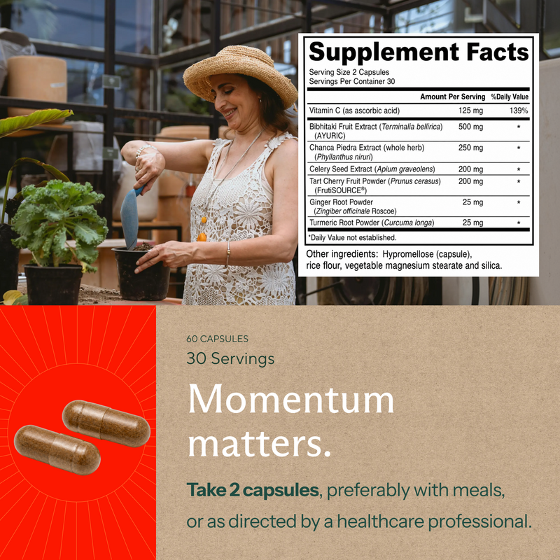 Premium Uric Acid Support Supplement - Sunergetic