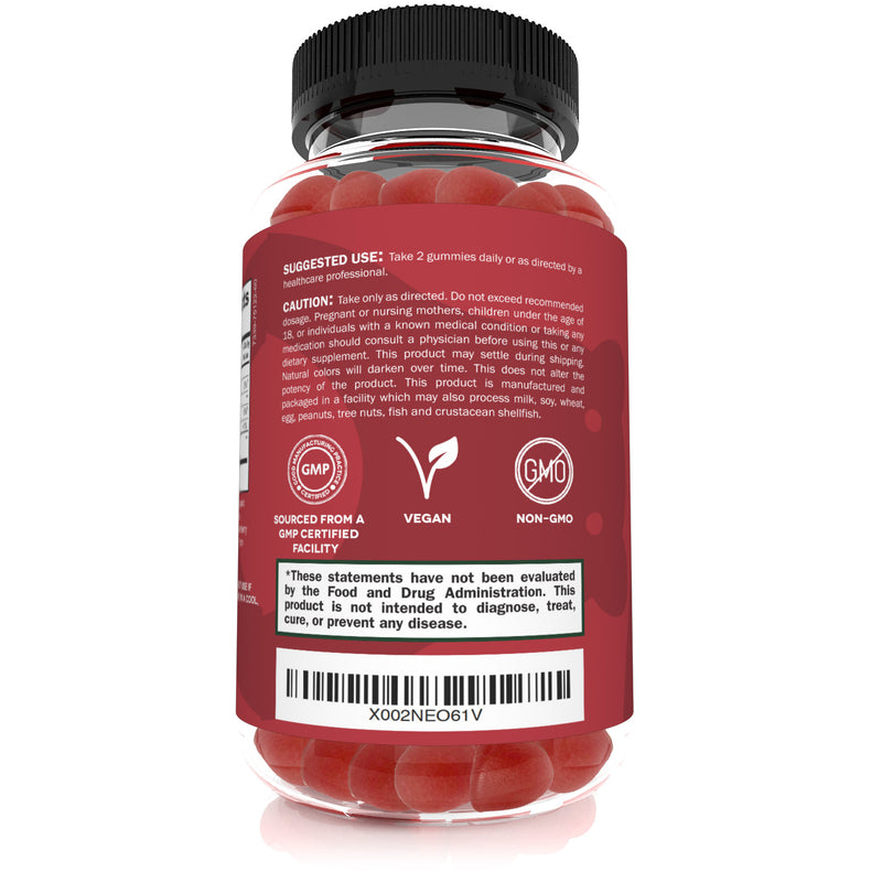 USDA Organic Apple Cider Vinegar Gummies - 60 ACV Gummies - Sunergetic